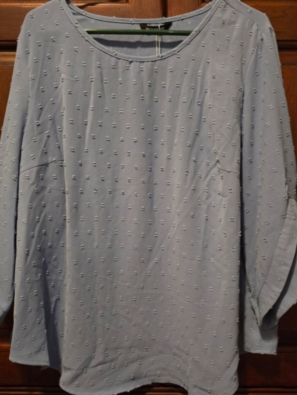 Women's Light Blue Textured Blouse